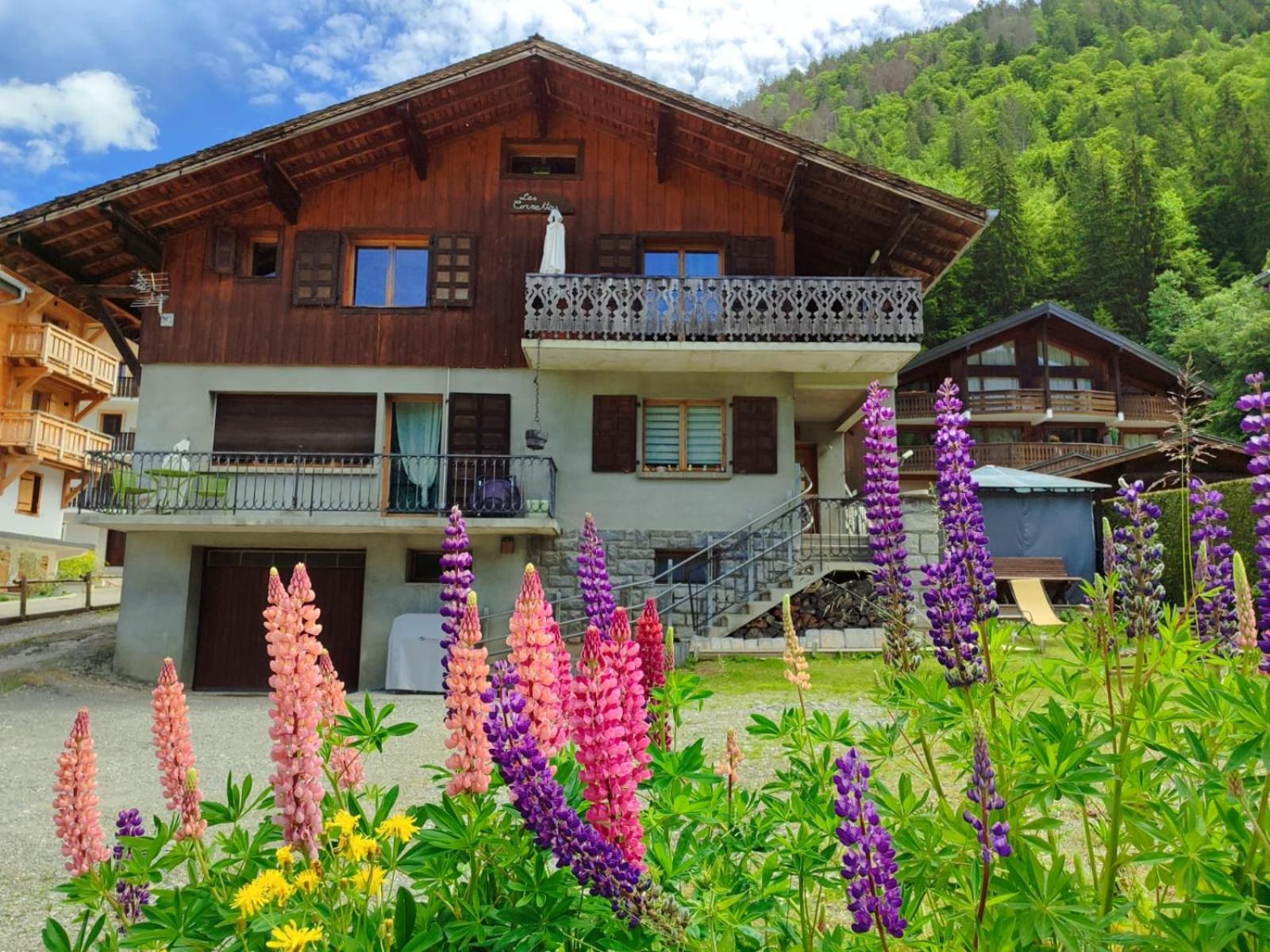 Appartement Meuble Classe 3 Etoiles De 72 M2, 2 Chambres Morzine Exterior photo